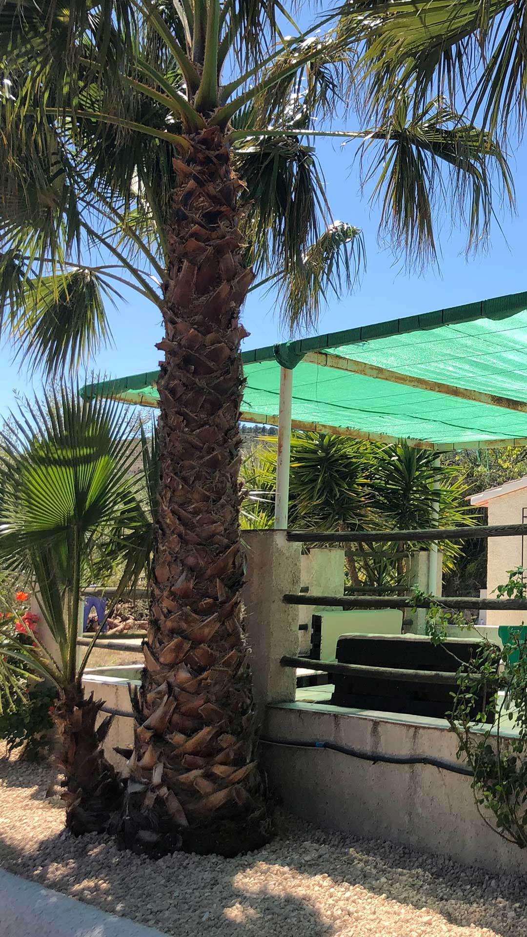 Peace of mind for the whole family