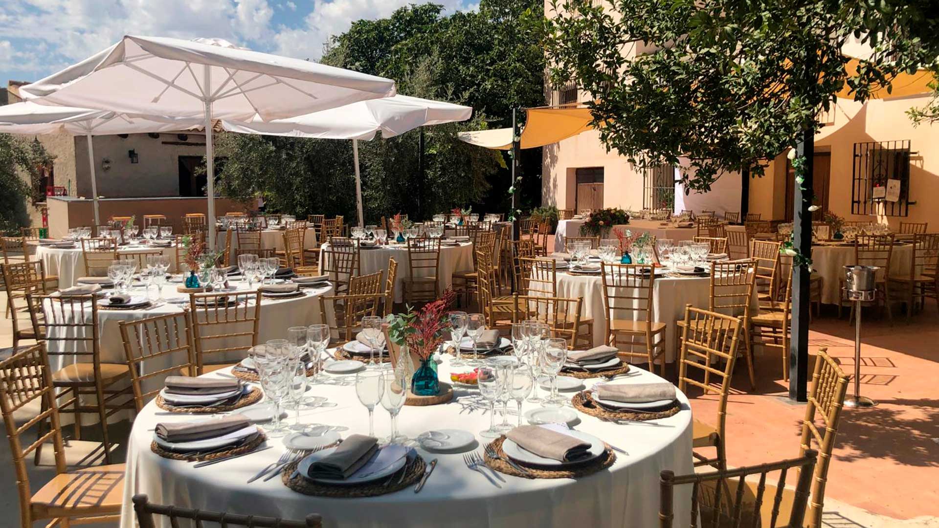 Cortiojo_el_Alamo_2_celebraciones_7